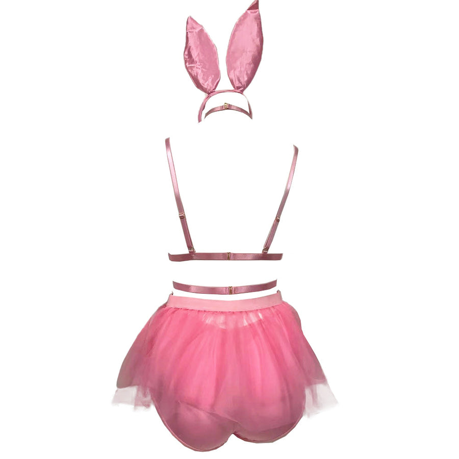 Sexy Playboy Bunny Lingerie Costume Micro Bra and Mesh Mini Skirt Cosplay Outfit